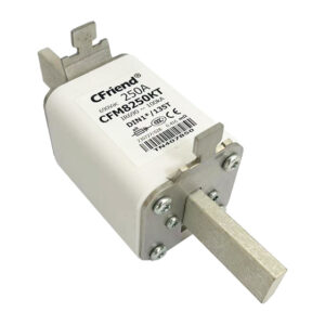 Fusible Ultrarrápido 250A 690Vac